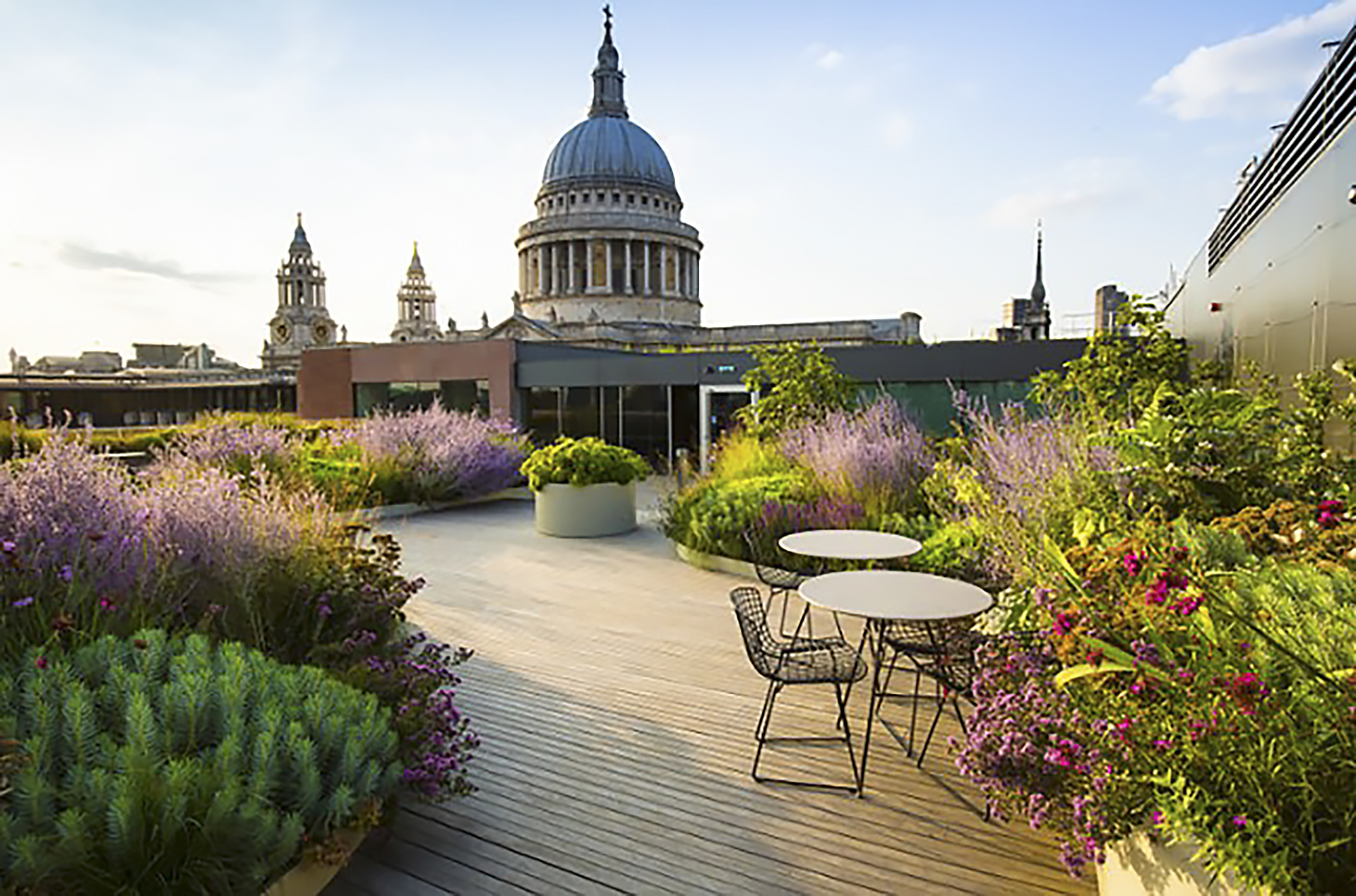 4 Cannon Street, London - Extensive landscaped roof terrace encourages biodiversity and improves occupant health and wellbeing